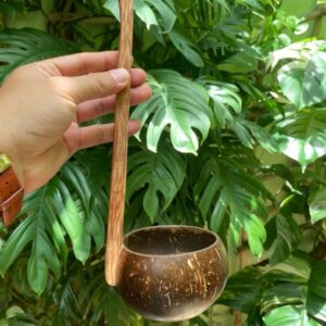 Đồ múc nước bằng gáo dừa cắn đứng siêu đẹp và tiện lợi