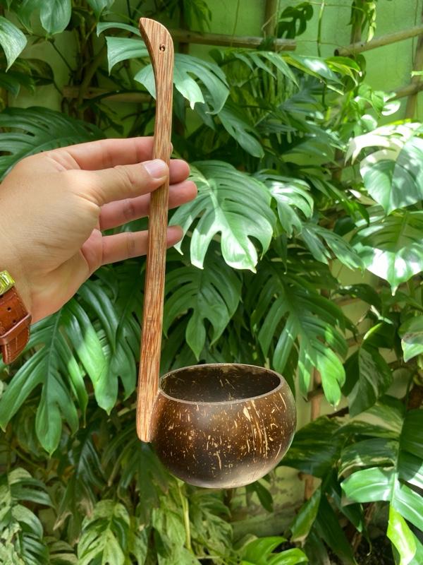 Đồ múc nước bằng gáo dừa cắn đứng siêu đẹp và tiện lợi