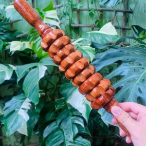 Cây lăn massage chuẩn gỗ dừa loại 1 với 9 con lăn