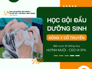 hoc-goi-dau-duong-sinh-dong-y