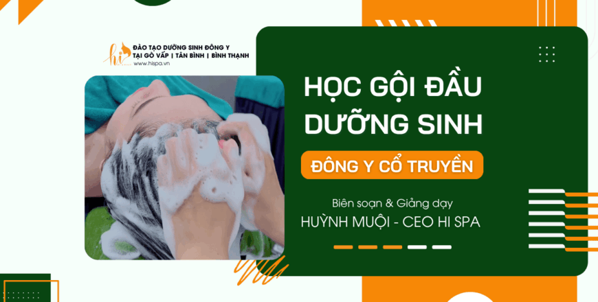 hoc-goi-dau-duong-sinh-dong-y