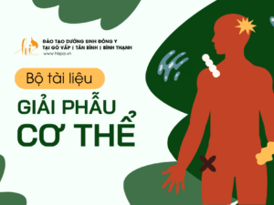 tai-lieu-giai-phau-co-the