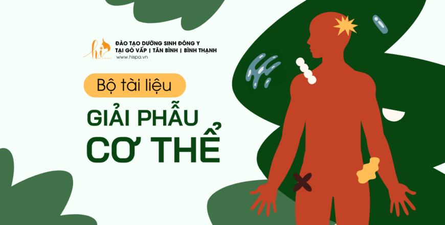 tai-lieu-giai-phau-co-the